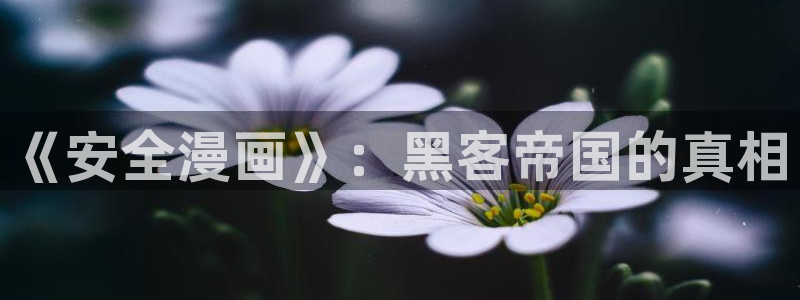 包子漫画免费漫画入口：《安全漫画》：黑客帝国的真相