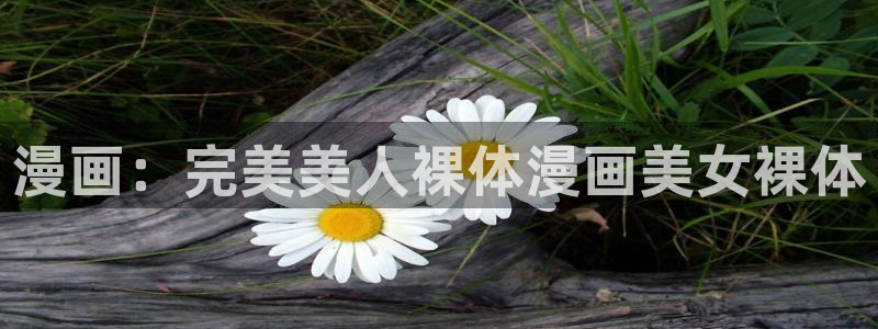 鲲吞天下包子漫画：漫画：完美美人裸体漫画美女裸体